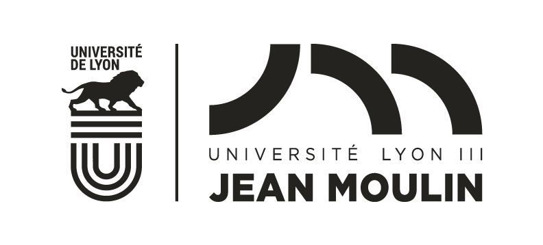 UDL Lyon3 WEB