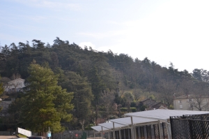 Note sur la biodiversité urbaine aux différentes échelles spatiales d&#039;un projet d&#039;aménagement à Vienne (Isère)