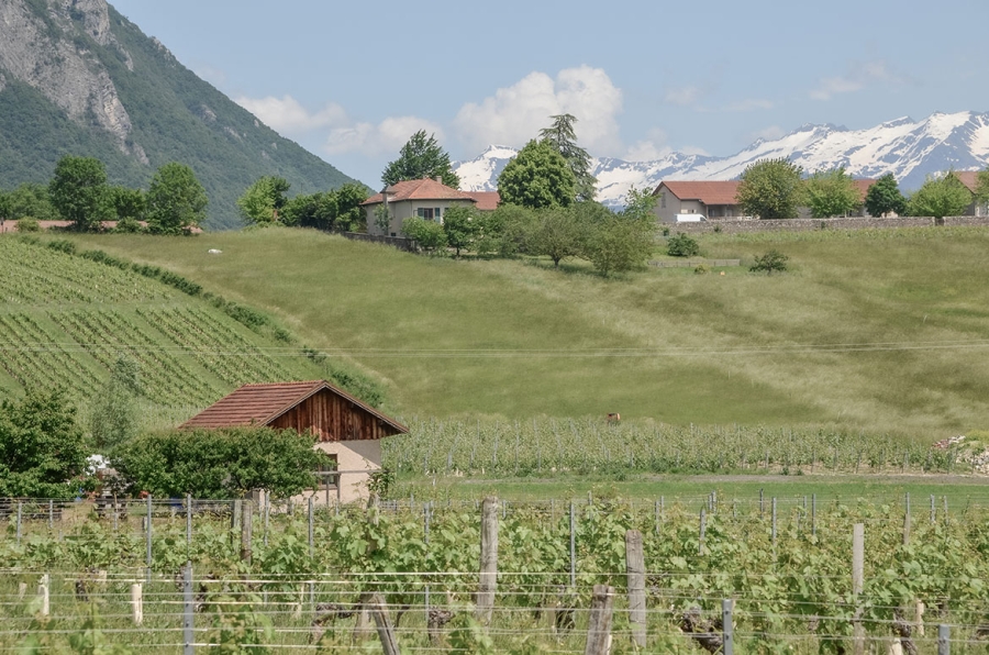 Évaluation environnementale du PLU de Porte-de-Savoie (Savoie)