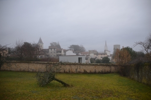 Note sur la biodiversité urbaine aux différentes échelles spatiales d&#039;un projet d&#039;aménagement à Saint-Cyr-au-Mont-d&#039;Or (Métropole de Lyon)