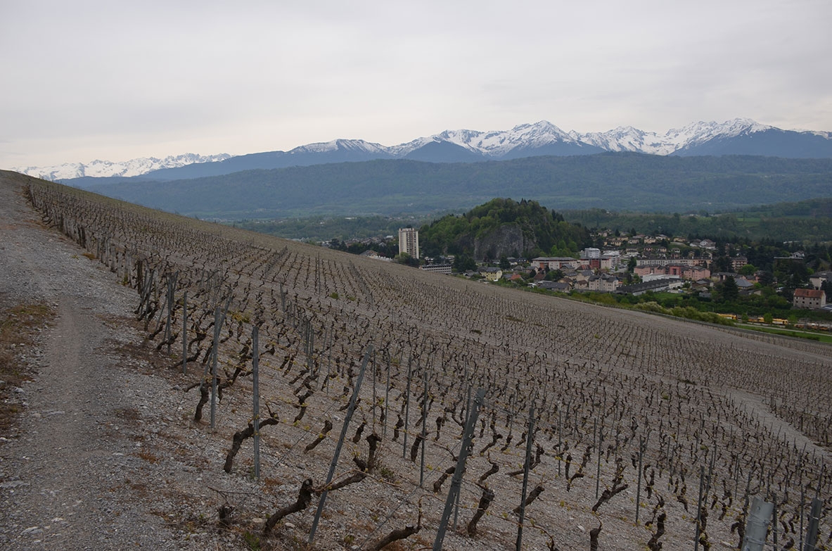 Évaluation environnementale du PLU de Montmélian (Savoie)